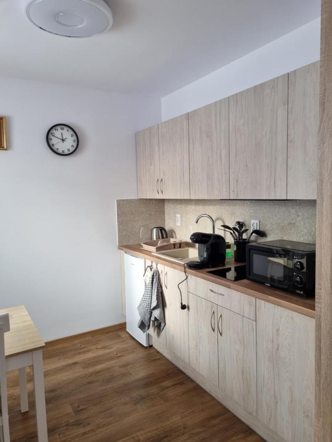 Apartmany U Petra 예세니크 외부 사진