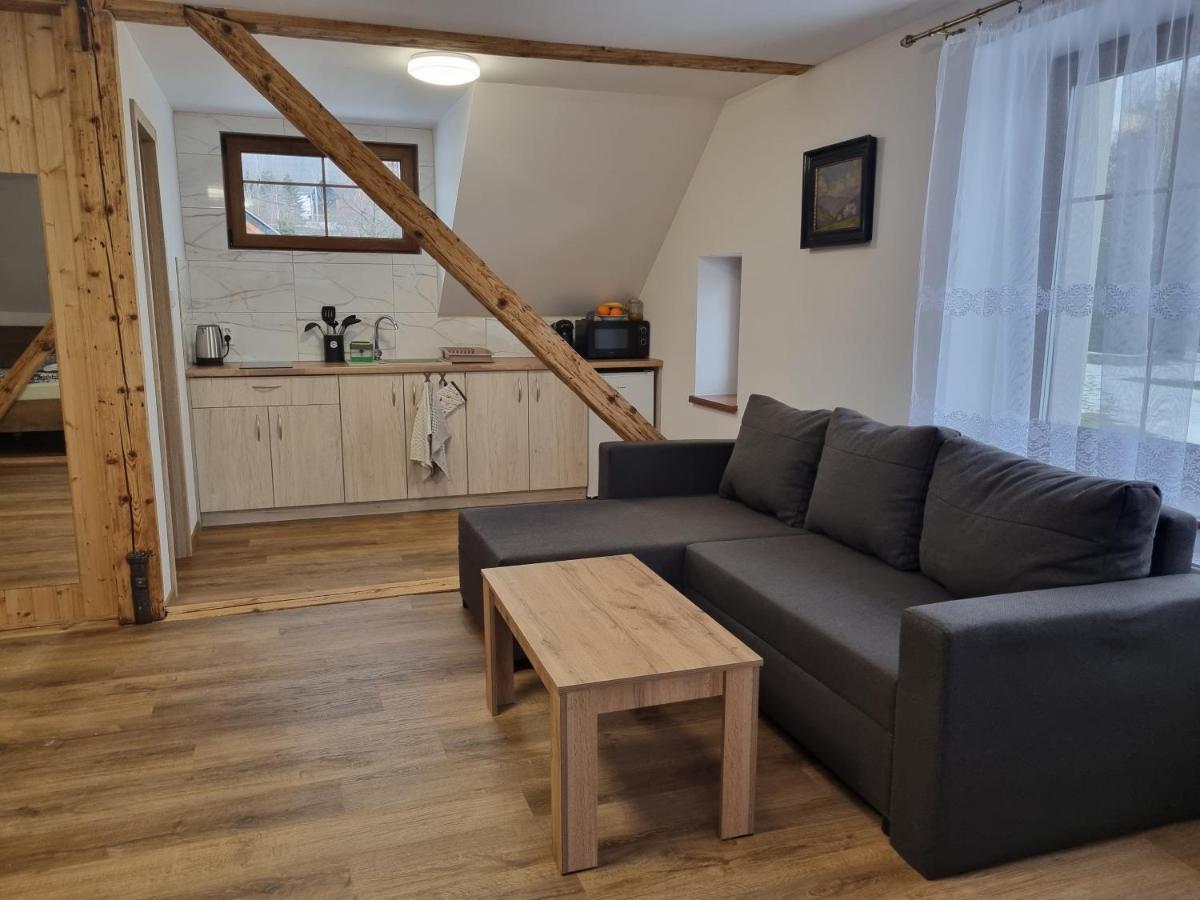 Apartmany U Petra 예세니크 외부 사진