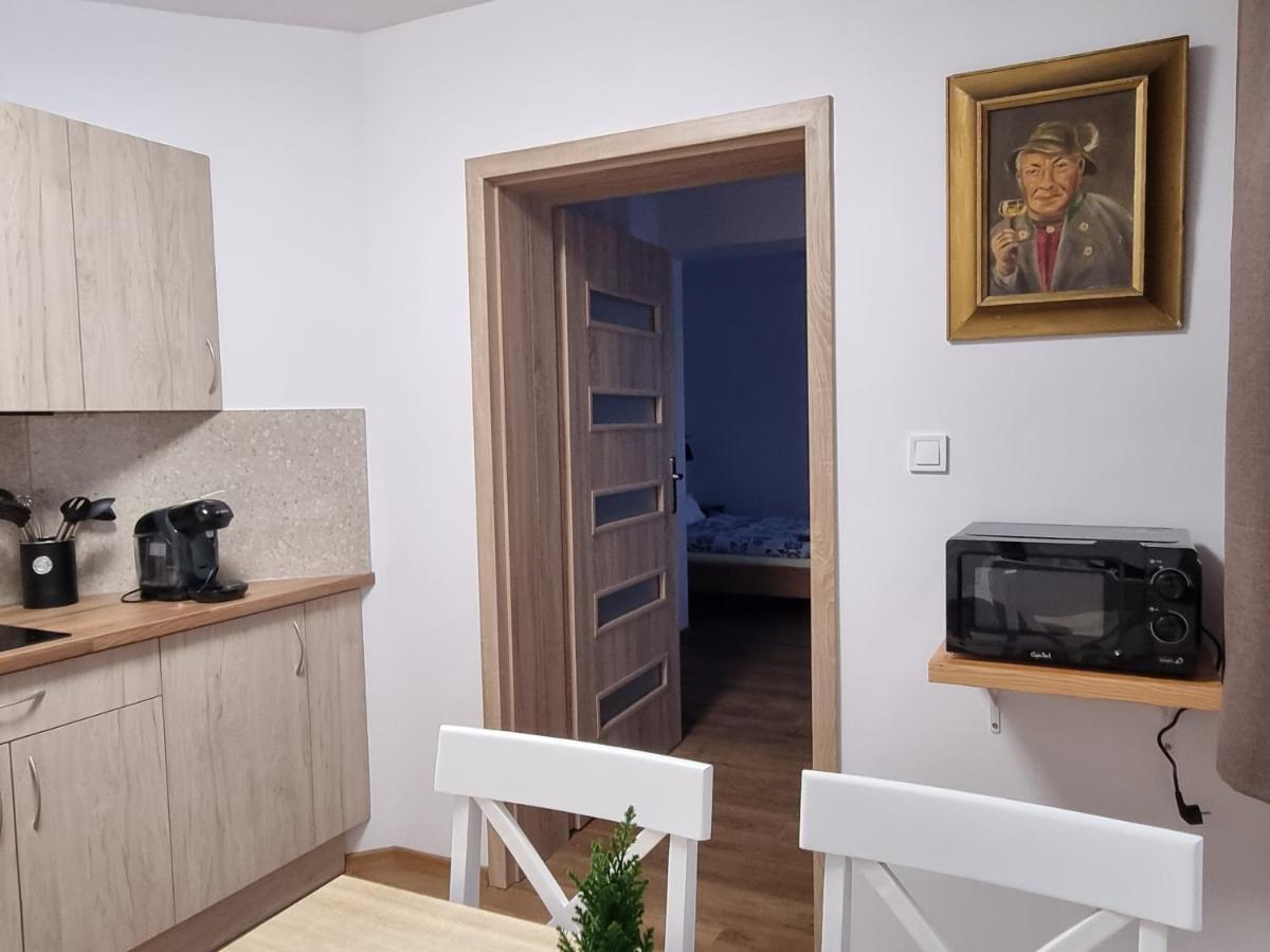 Apartmany U Petra 예세니크 외부 사진