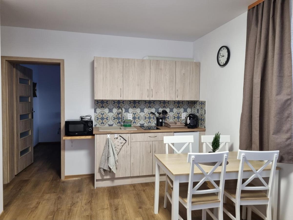 Apartmany U Petra 예세니크 외부 사진