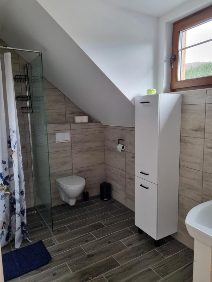 Apartmany U Petra 예세니크 외부 사진