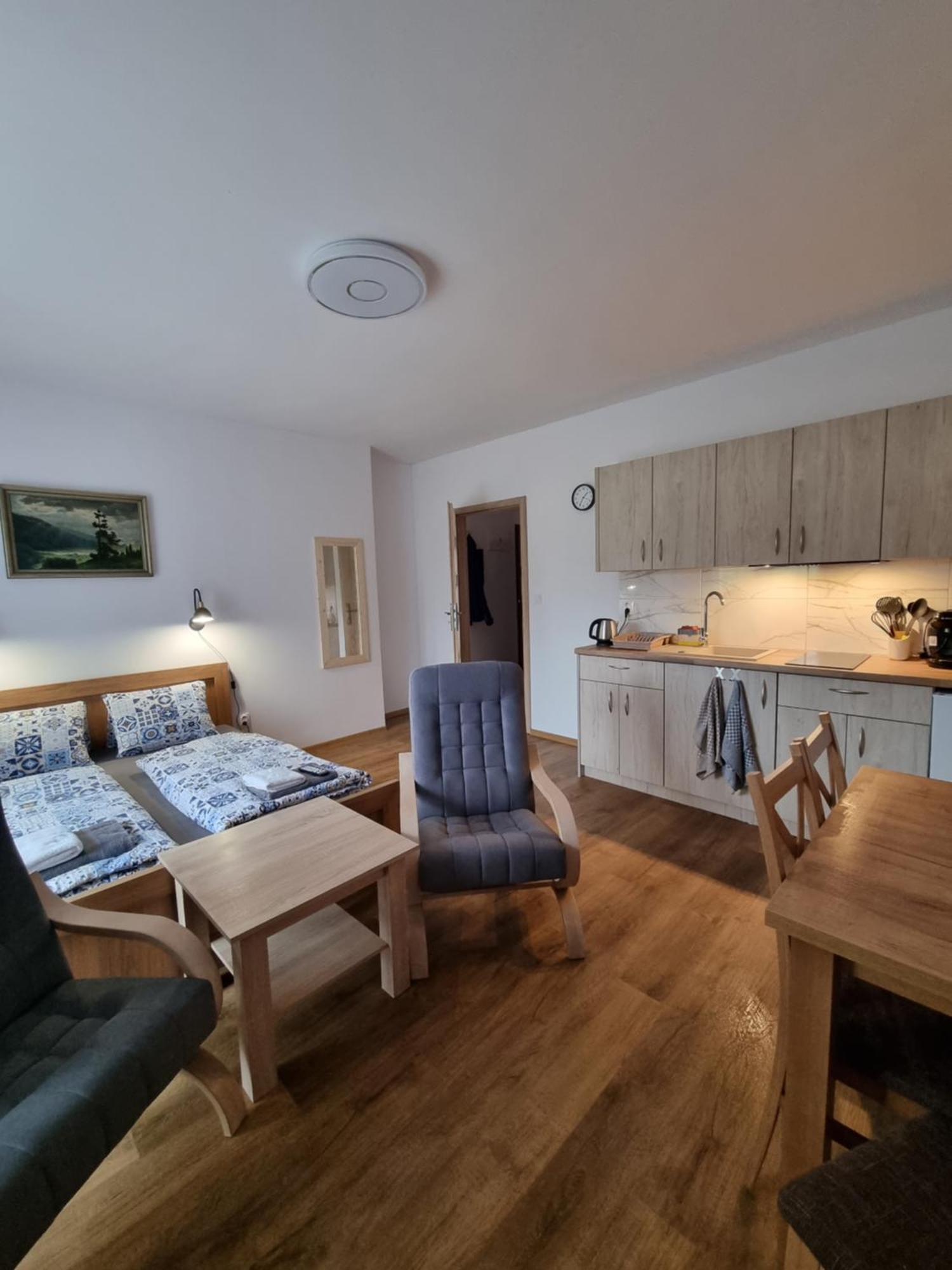 Apartmany U Petra 예세니크 객실 사진